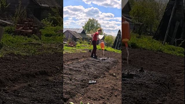 Огородник от слова худо