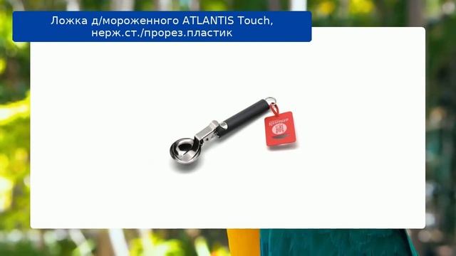 Ложка д/мороженного ATLANTIS Touch, нерж.ст./прорез.пластик смотреть онлайн