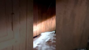 СТГ лед лампы на рефлекторной оптики, а также сравнение с штатной лед оптикой.