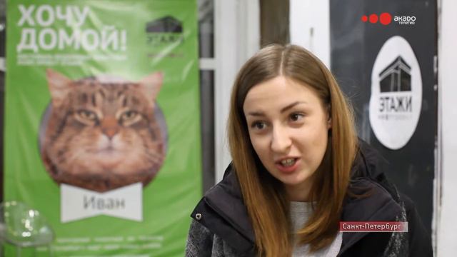 Друзей не покупают! В Санкт-Петербурге прошел фестиваль бездомных животных "Хочу домой"