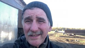 Нужно ли бросать животноводство?