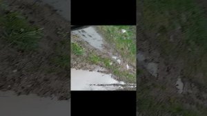 Покатушки на наших цлс с Лёхой