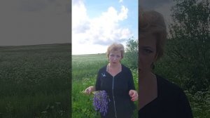 Какое расстояние должно быть между домами соседей? Ответ здесь!