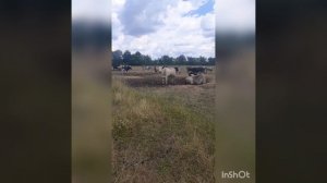 Земля..часть 2я