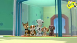 PATRULHA CANINA THE BOO BOO SONG / PAW PATROL MOMMY MOMMY