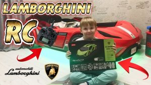 Собрали собственный Lamborghini на радиоуправлении.