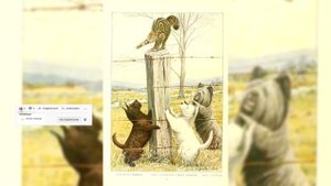 Вест хайленд уайт терьер. Плюсы и минусы, Цена, Как выбрать, Факты, Уход, История