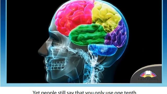 Action 10 grade Module 1 Myth Busters смотреть онлайн