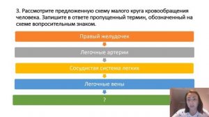 Биологические термины и понятия. ЕГЭ по биологии.