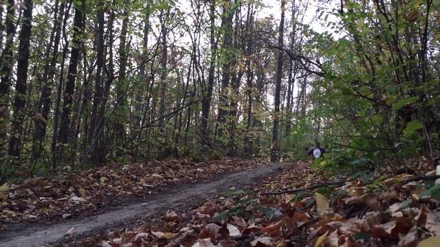 abm zr200 прыжок смотреть онлайн