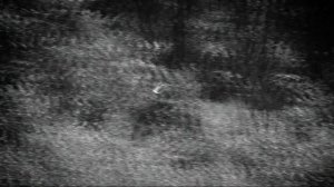 Юнона и Авось.mpg