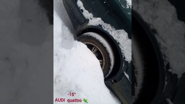 Утренний тест AUDI quattro ?