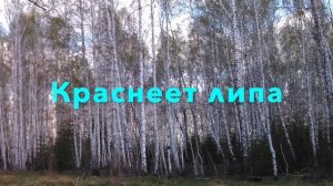 Ещё весны душистой нега (А. А. Фет)/More spring sweet bliss (A. A. Fet)