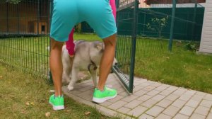 Под Кроватью | Сквозь стену | Большое и Маленькое | Майя, Маша, Мия | Детские песни