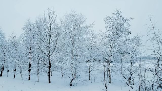 2 февраля.ДЕНЬ ЕФИМА.Народные приметы, традиции