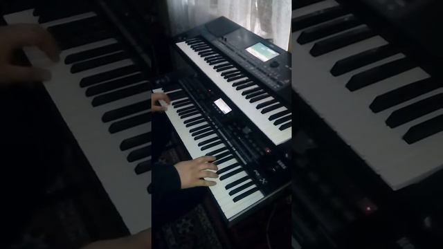 Той хит 😂 шаршама тек шаршама смотреть онлайн