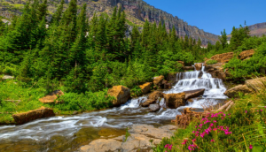 Успокаивающая горная река с водопадом ✦ Звуки леса и пение птиц ✦ Relax Sleep