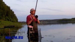 На Оке с болонской удочкой. Июнь  -  большая вода.