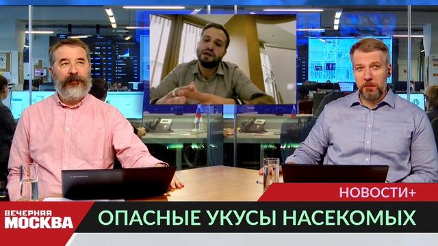 Укусы каких насекомых особенно опасны для людей