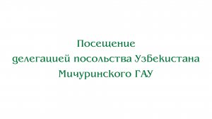 Посещение делегацией посольства Узбекистана Мичуринского ГАУ