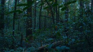 ЛОТЕРЕЯ - КОРОТКОМЕТРАЖНЫЙ ФИЛЬМ