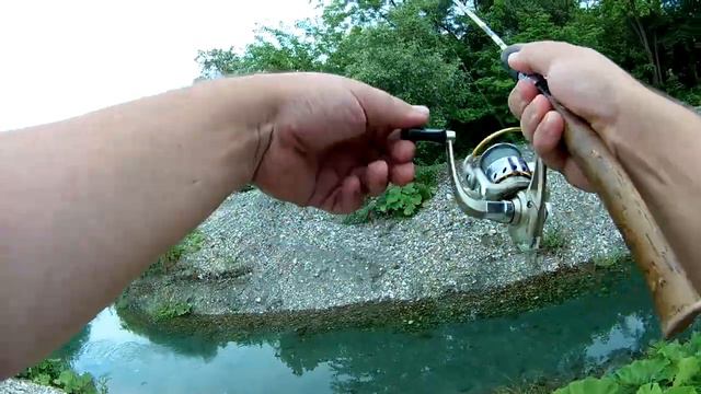 Trout, форель, #секретыспиннингиста