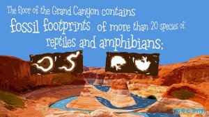 Grand Canyon National Park in Arizona - Fun Facts for Kids | Educational Videos by Mocomi