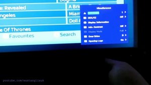 Iiyama Prolite X2783HSU-B1 27 inch Monitor My Picture Settings + Black Line On TV