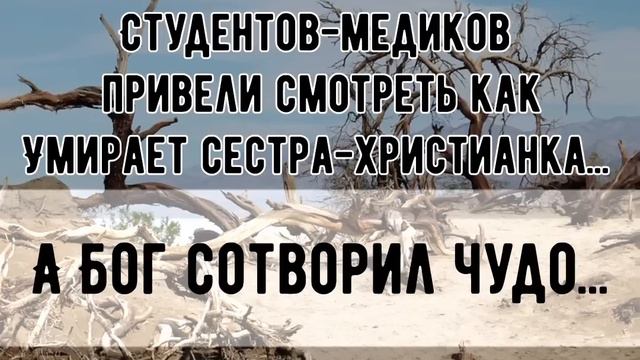 ОСКАЛЕНКО А.Н.||Студентов-медиков привели смотреть как умирает сестра-христианка ... смотреть онлайн