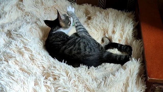 Скрытая камера. Юрочка и банан. смотреть онлайн