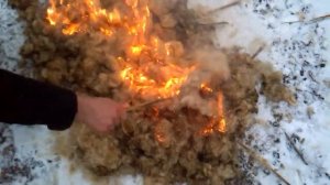 Подожгли пух