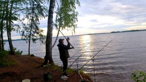 Рыбалка С Ночевкой На Волге. Фидеры. Готовим На Костре. Клюют Монстры!