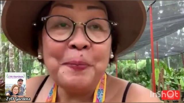 Vlog #16: Bromeliads Propagation (Neoregelia Variety) смотреть онлайн