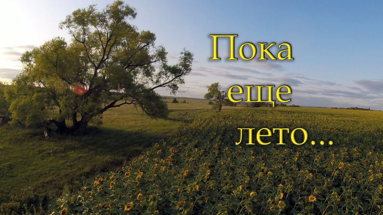 Картинки пока пока. August картинки. Пока пока. Пока пока ухожу картинки. Август пока картинки.
