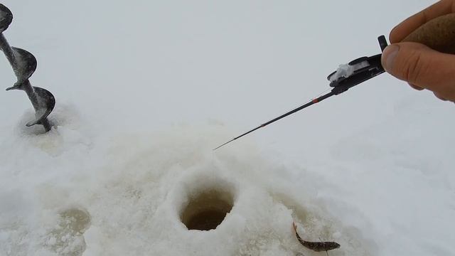 Ладога. Креницы. Ловля окуня на километрах.Вот оно глухозимье в конце января. смотреть онлайн