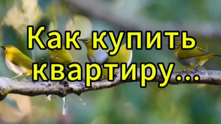 Как Купить Квартиру! | Что нужно знать чтоб КУПИТЬ КВАРТИРУ!
