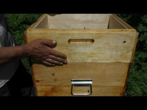 Проверяю хвойный порошок на эффективность использования против клеща