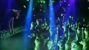 ДИСКОТЕКА У КОТОВ :)