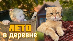 Лето. Деревня. Детство.