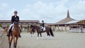 Алена и Гиацинт на соревнования по выездке в КСК "Звездный"