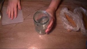 Как проращивать горчицу. Микрозелень горчицы.