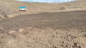 Гербицидная обработка озимого лука и чеснока