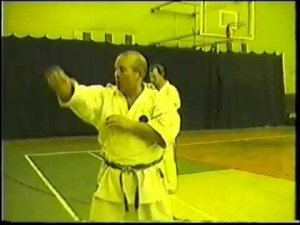 Годзю Рю каратэ-до. Сенсей Джордж Эндрюс. Семинар по самообороне. Ч.3