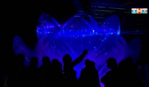 В Гатчине прошел фестиваль «Ночь света»