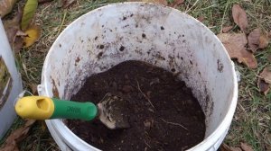 Приготовление "болтушки", для обмакивания корней саженцев и кустов