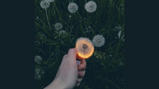 пошлая молли - lin ansty ( speed up ) смотреть онлайн