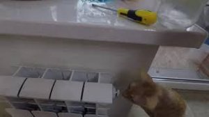 Как развоздушить  радиатор отопления. Кран Маевского.