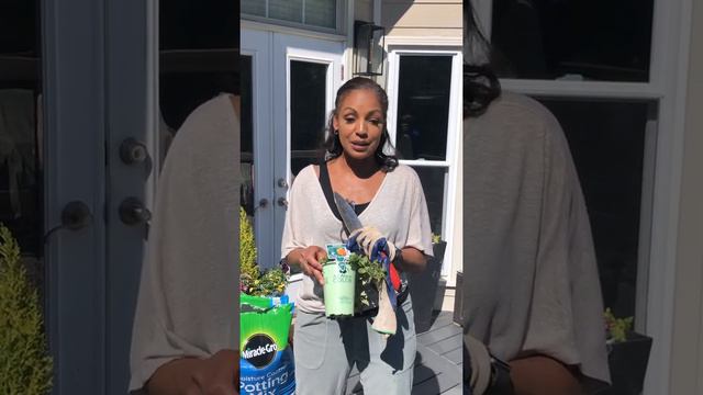 container gardening for Sun deck смотреть онлайн