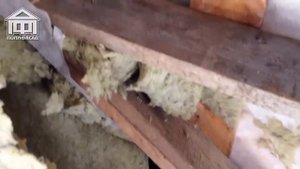 Минеральная вата впитывает влагу и конденсат из воздуха