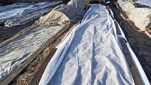 ЗАМЕРЗАЕМ!!!))) Омск, 19.04.2023г. смотреть онлайн